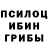 Галлюциногенные грибы мухоморы 8N1njaK1ller8