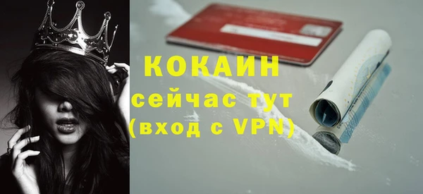 мяу мяу мука Няндома