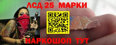 гидра Будённовск