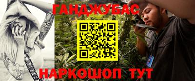 гидра Будённовск