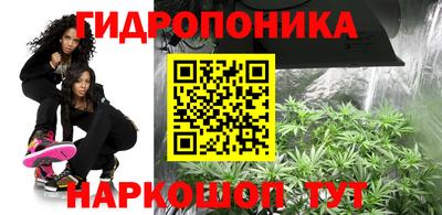 прущие грибы Бузулук