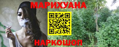 гидра Будённовск
