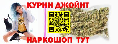 гидра Будённовск