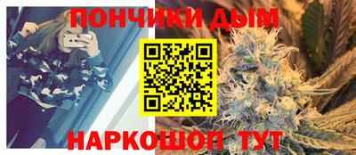 гидра Будённовск