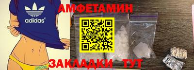 сатива Кингисепп