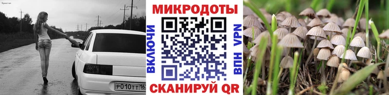 купить  сайты  Обь  Галлюциногенные грибы GOLDEN TEACHER 