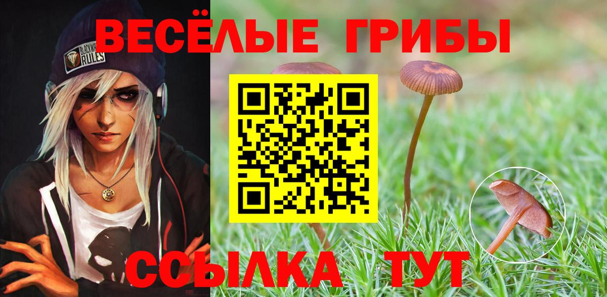 Галлюциногенные грибы ЛСД Обь
