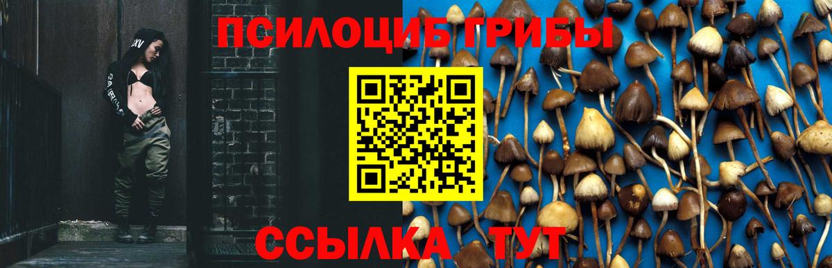 купить  цена  Вход с VPN  Обь  Галлюциногенные грибы GOLDEN TEACHER 